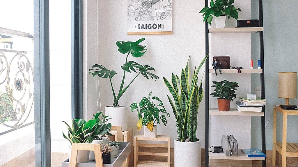 Create an Attractive Work Environment