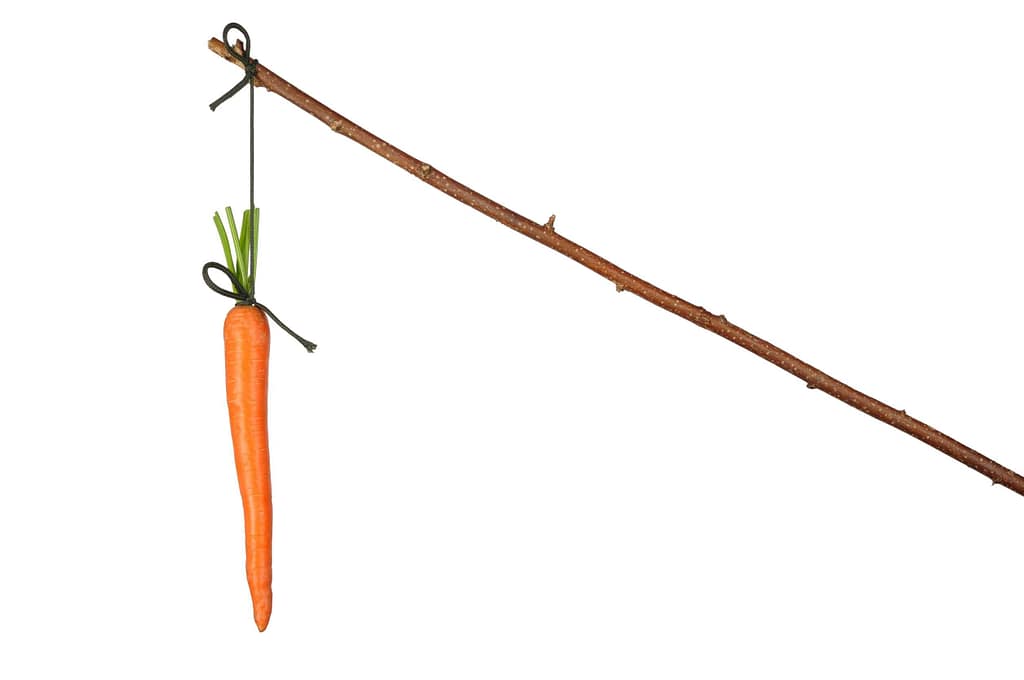 effective wellness programs, wellness incentive programs examples, wellness incentive ideas, wellness incentive ideas for employees, health insurance incentive programs, wellness incentive meaning