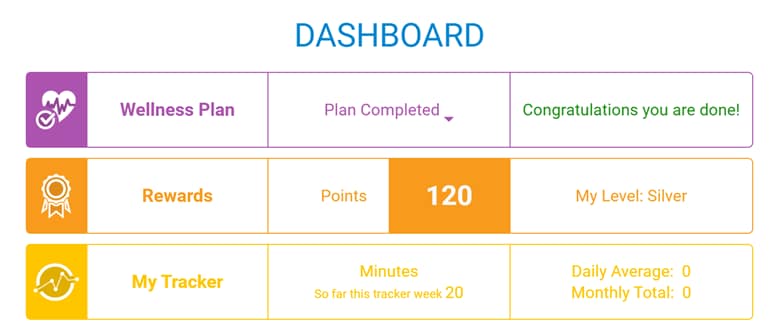 WellSteps dashboard
