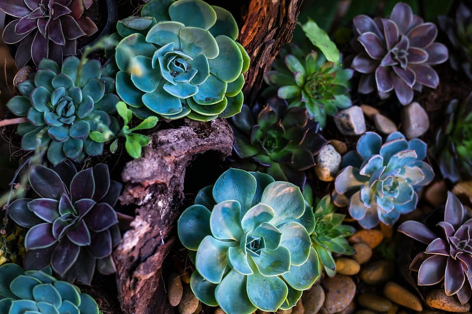 Workplace health programs can include employee gardening activities that encourage physical activity, reduce stress, and promote healthier habits through hands-on wellness experiences.
