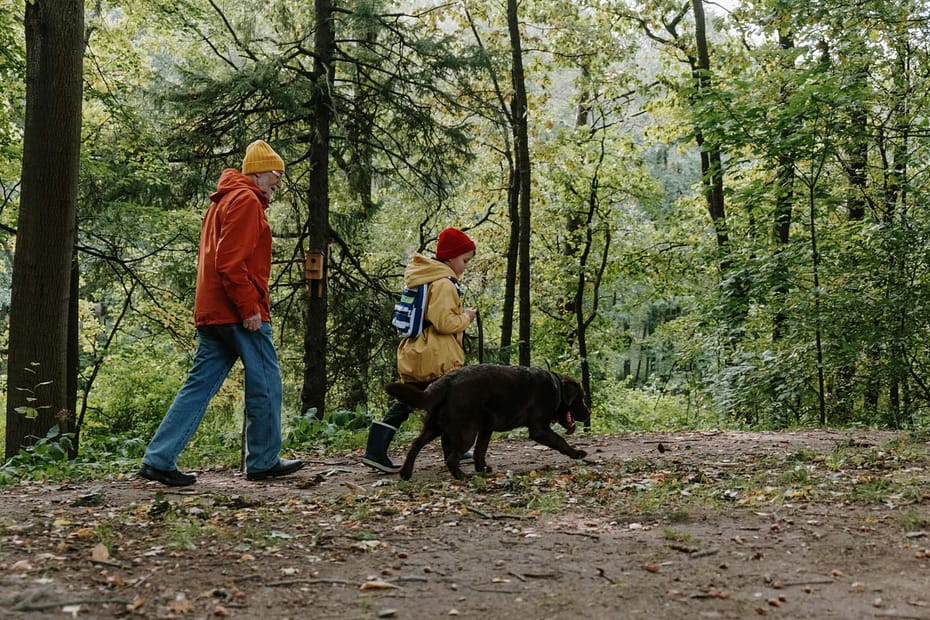 An adult and child walk a dog together along a wooded trail, illustrating how spending time outdoors and staying active can support physical health, mental well-being, and meaningful social connection.