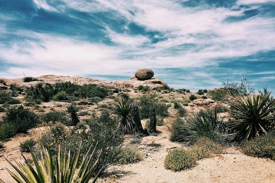 Open sky over a rugged desert landscape with balanced rock formations under a bright blue sky, symbolizing the path organizations take to reduce employee turnover through intentional leadership, employee engagement, and workplace wellness.
