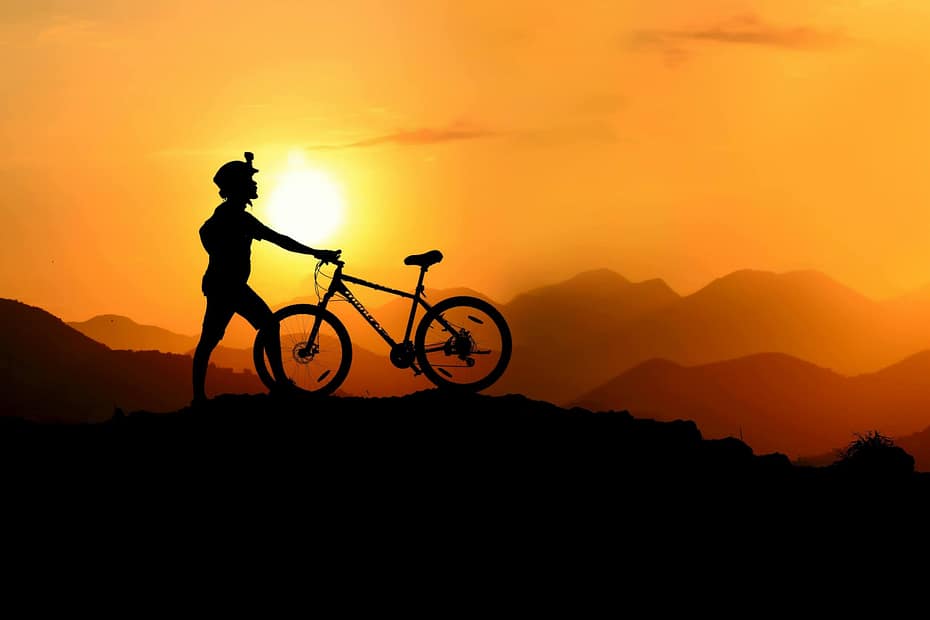 Wearable fitness devices support workplace wellness programs by helping employees track physical activity, build healthy habits, and stay engaged over time.
