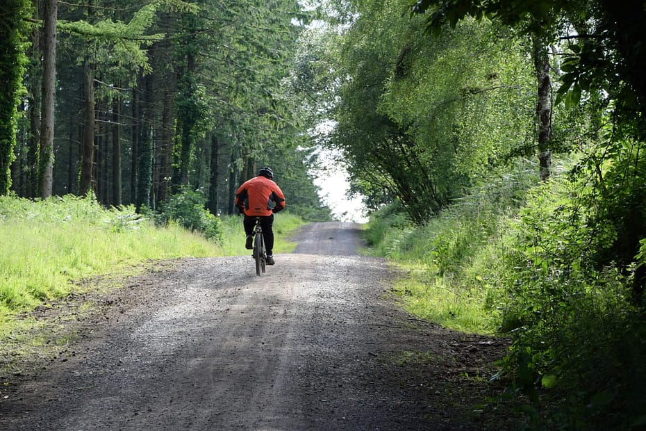 An employee rides a bicycle along a peaceful tree-lined gravel road, illustrating how outdoor physical activity supports wellness program engagement, healthy habits, and long-term behavior change.