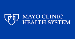 health wellness providers corporate wellness companies corporate wellness programs workplace wellness and health promotion, corporate wellness partners